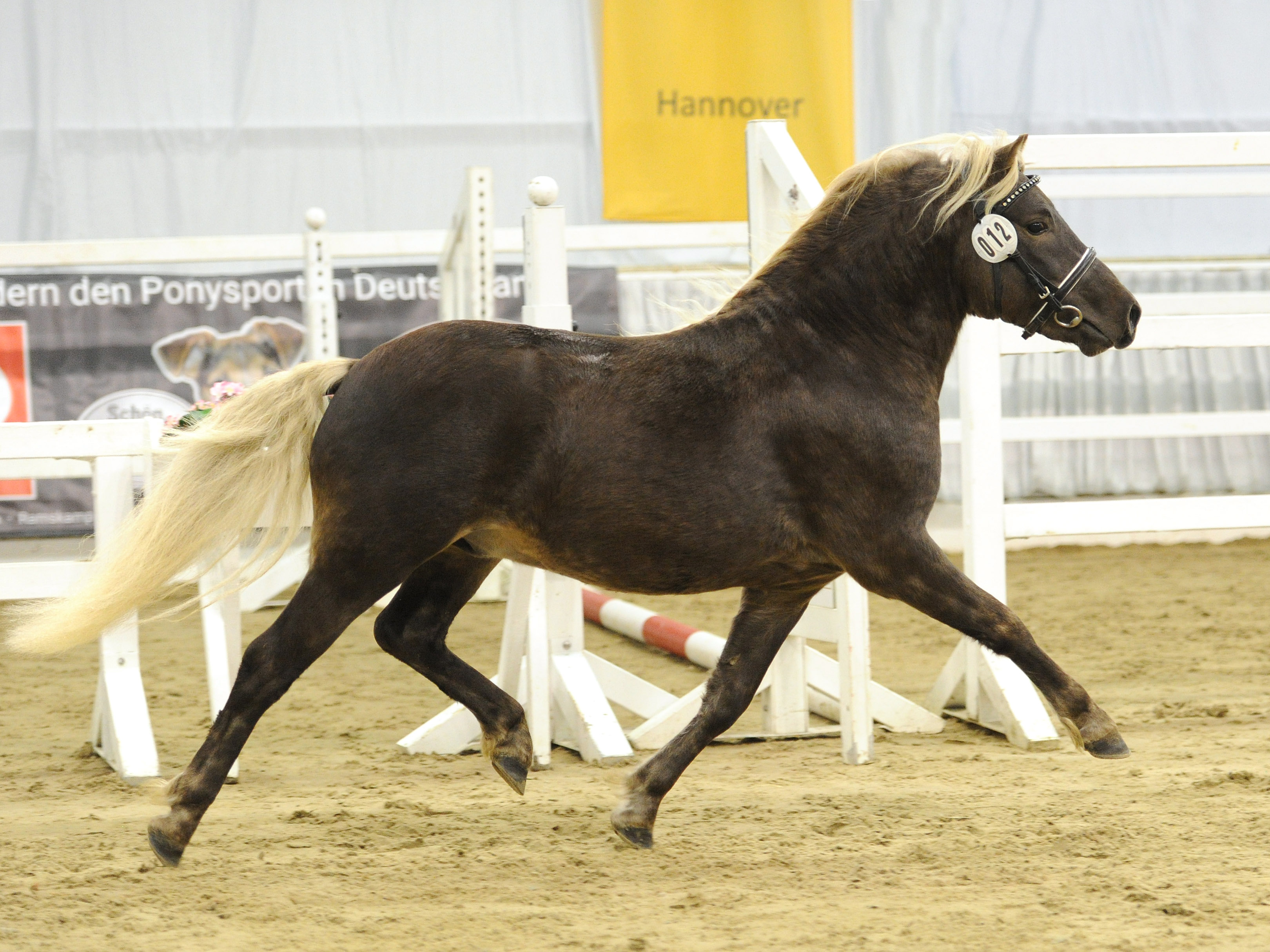 J'adore v. Clus J'adore v. Clus