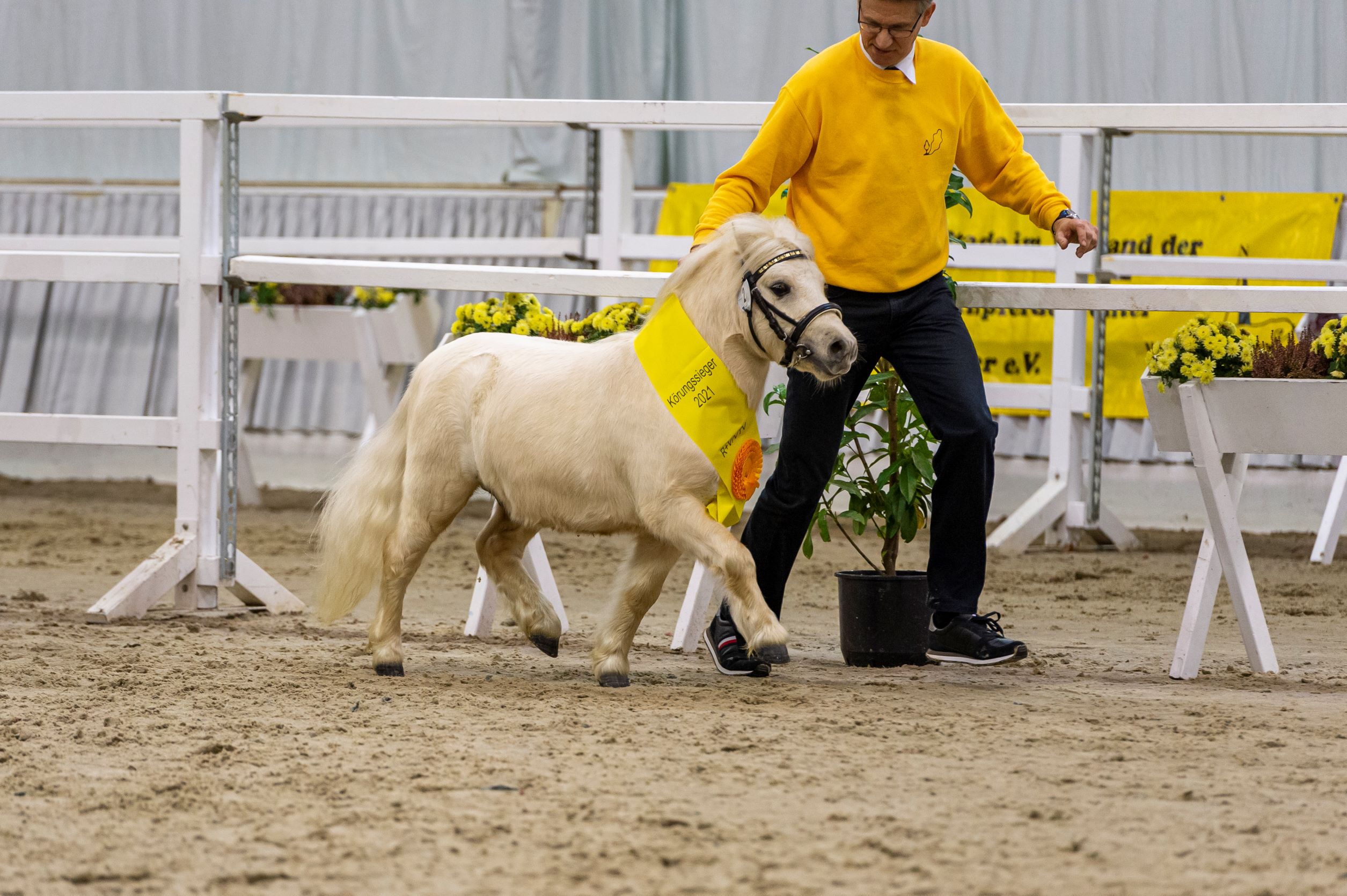 02 Elmhorst Espresso v Elmhorst Elliot CCs Mars Verden 21 TBE 7605 EQUITARIS