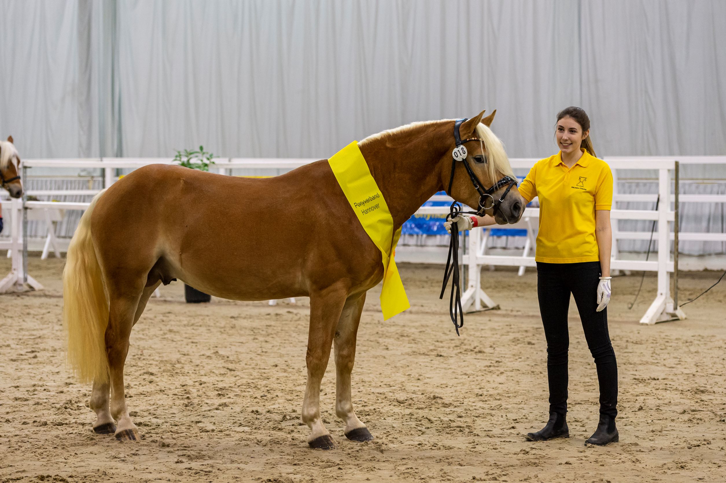 18 Sting KJ v Strauss Nytos W L Verden 21 TBE 7629 EQUITARIS