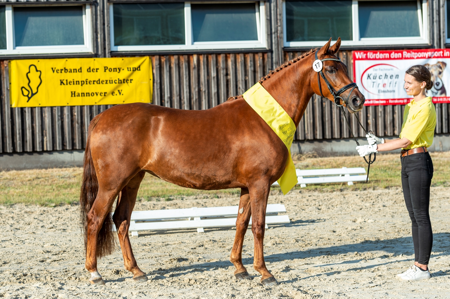 17 Be My Hope CVH Adelheidsdorf 21 TBE 1441 EQUITARIS
