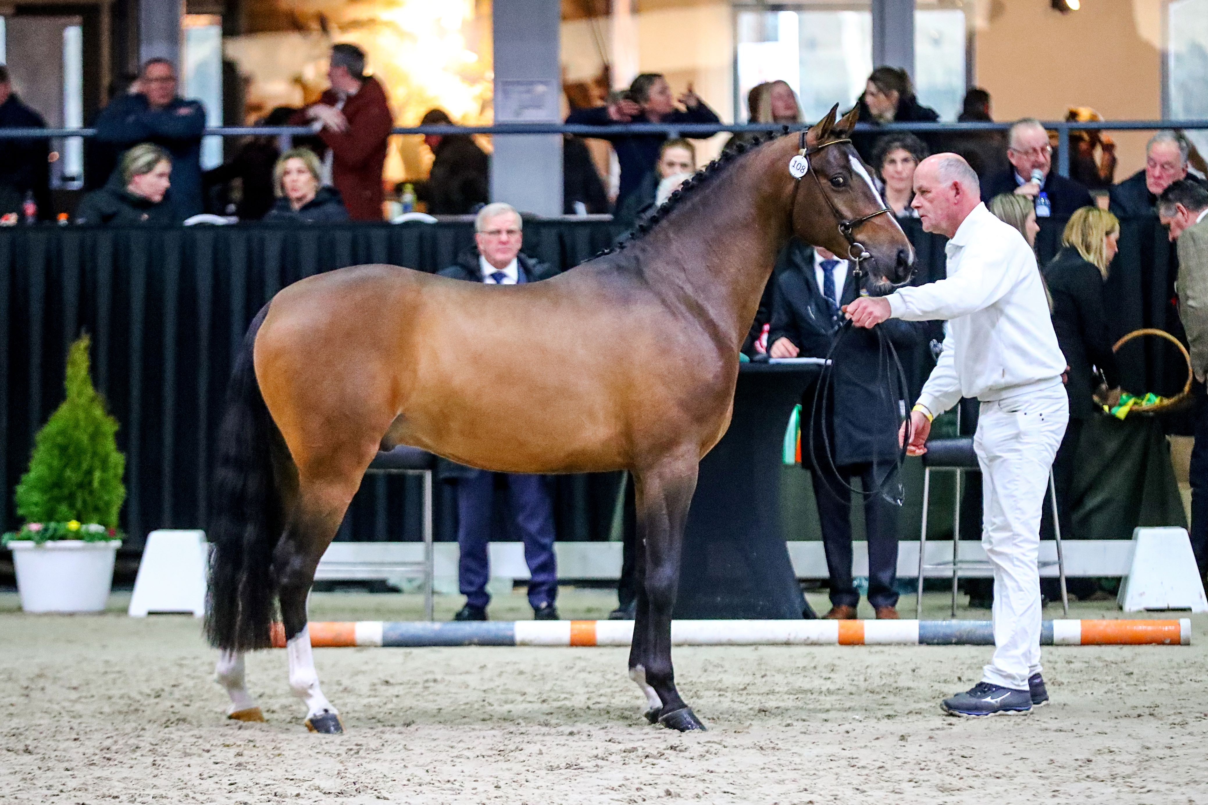 Foto W Smeets 2023 Reitlands Sir Obama 2 W Smeets