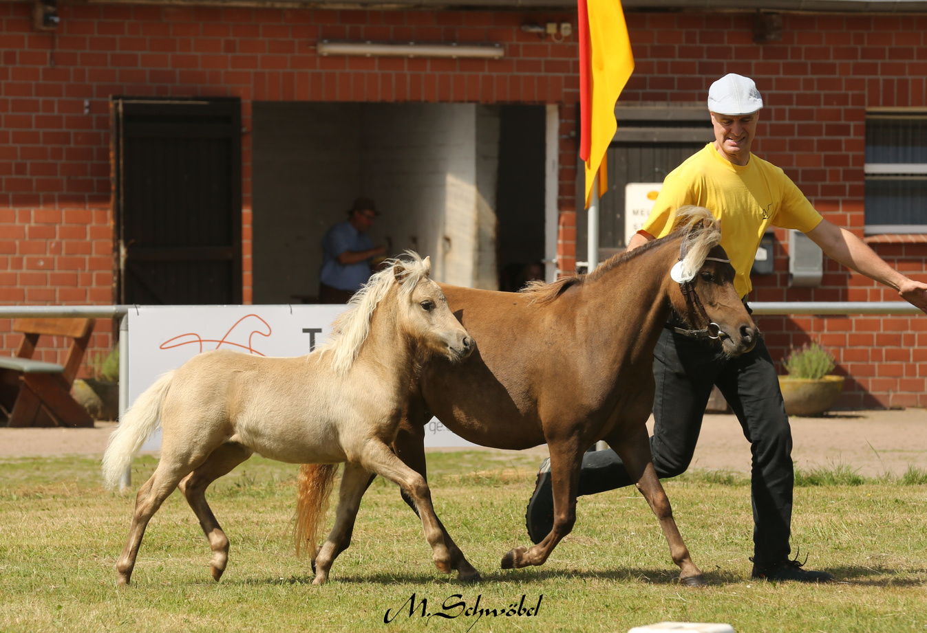 05 Classic HF sieger Jim MK ZG Schirmer 2