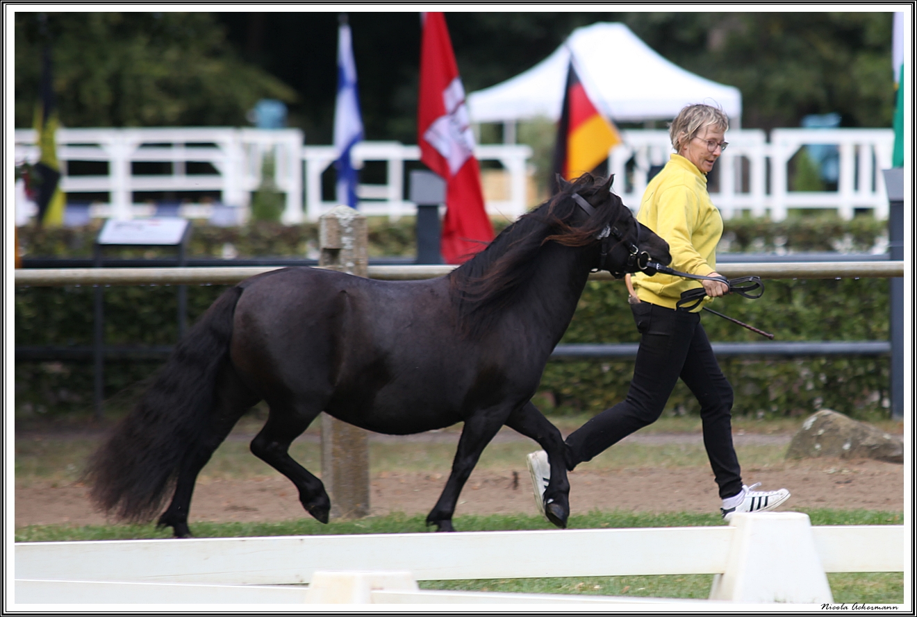 FN Bundesschau Redefin 230825 hashagen g faszination BP IMG 3261