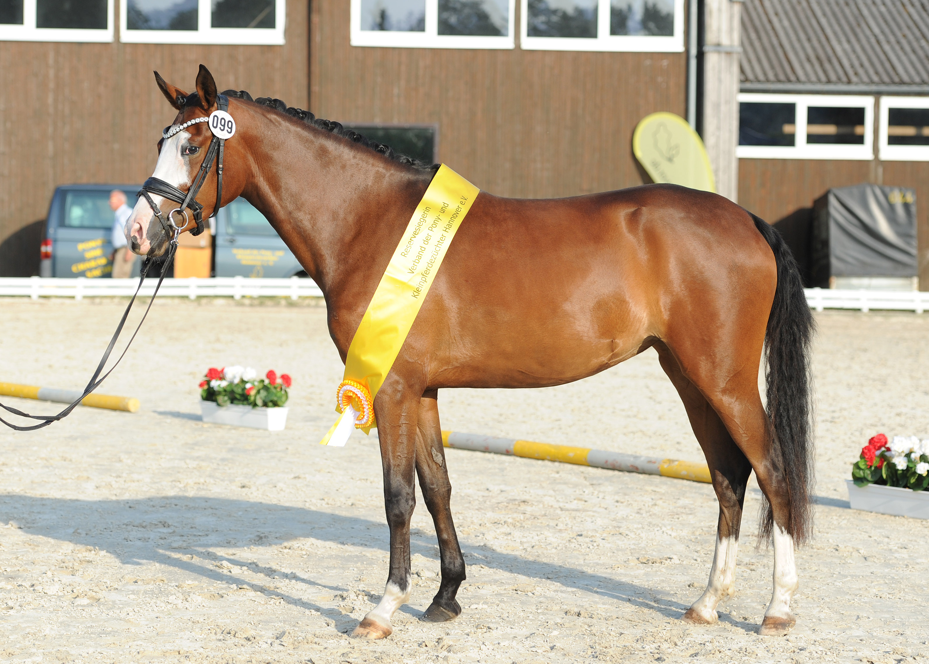 DR Res Stand Schärpe