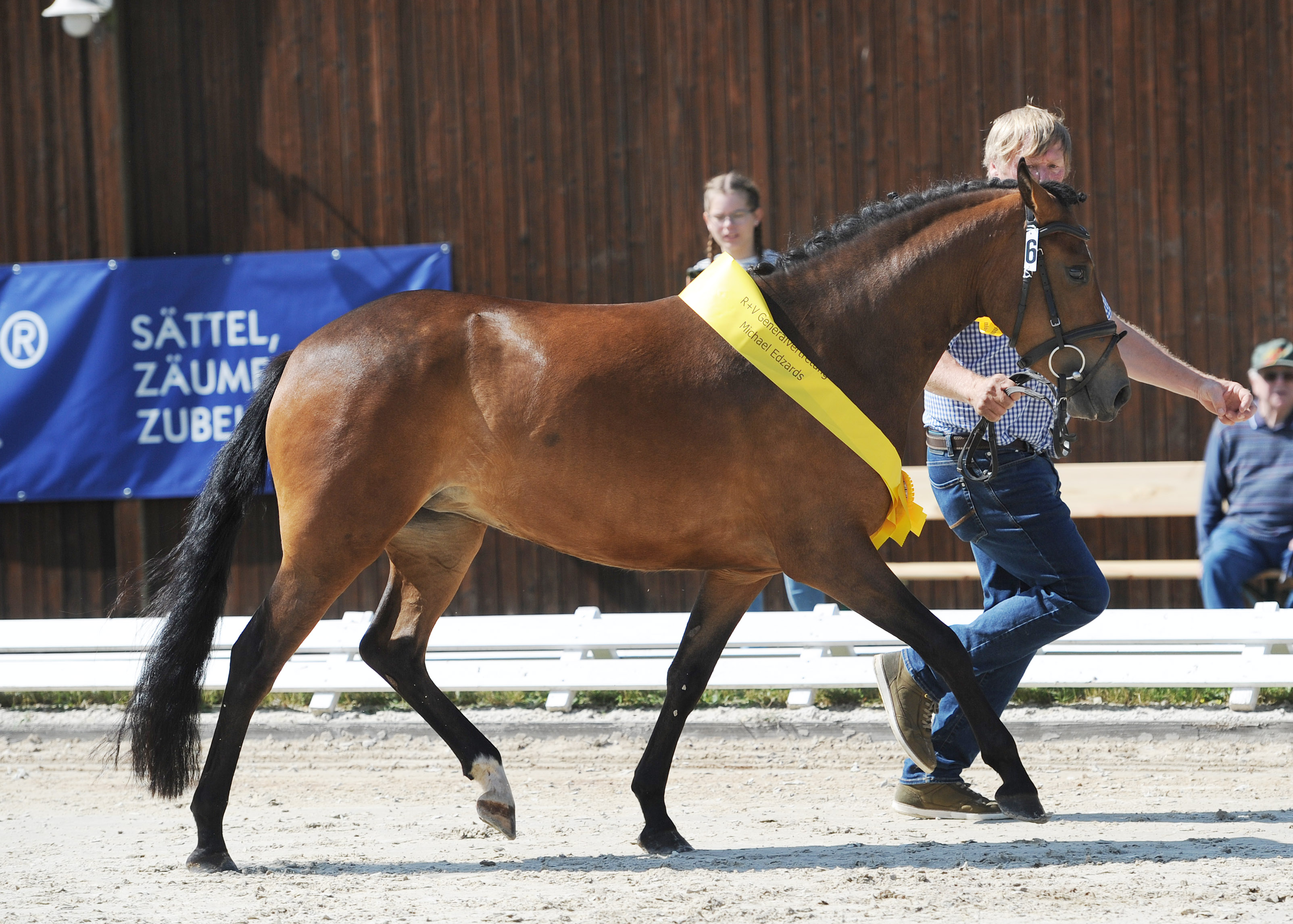 New Forest Trab Schärpe