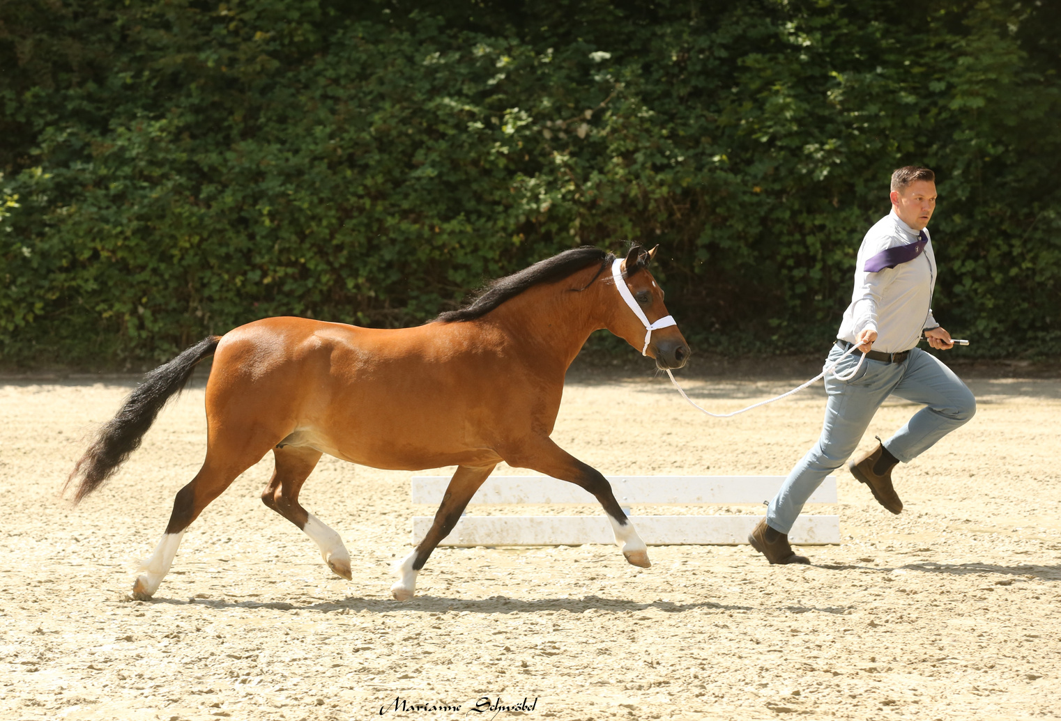 01 Tagessieger 2025 Aleanto Klara 2