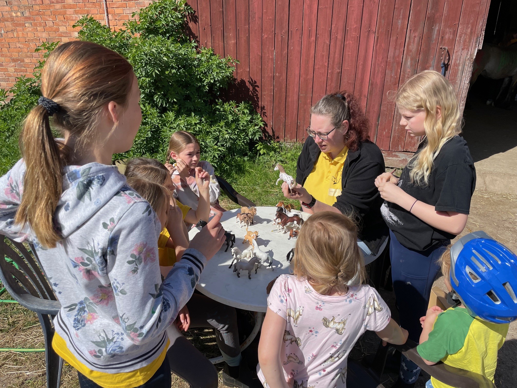 10.05.JungzüchterSüdhBS4