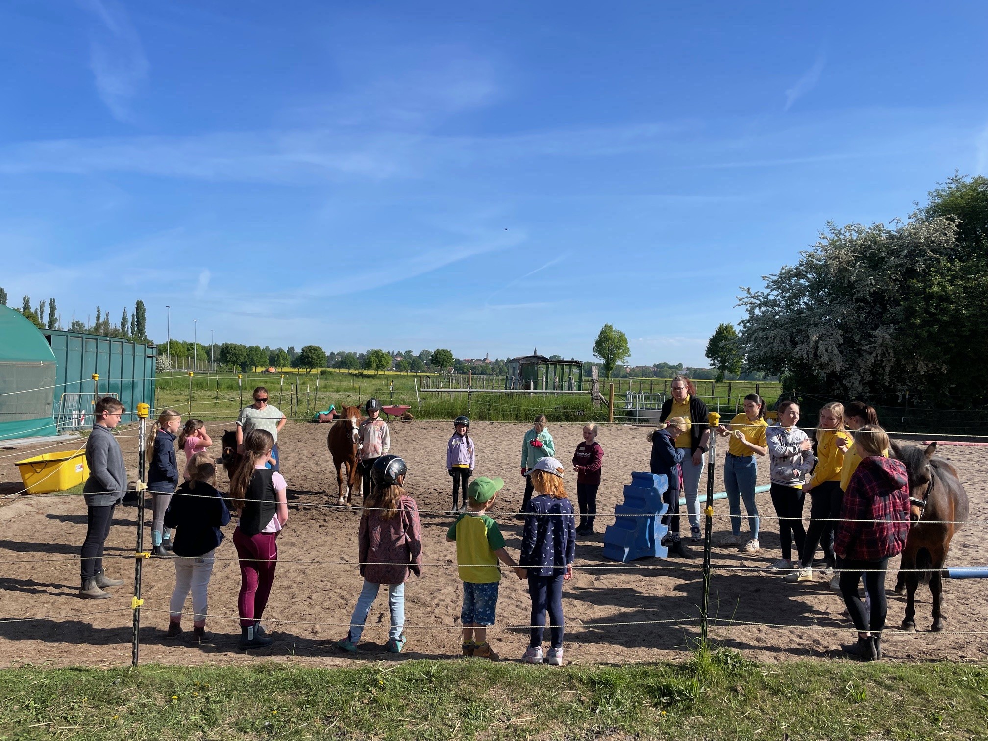 10.05.JungzüchterSüdhBS4