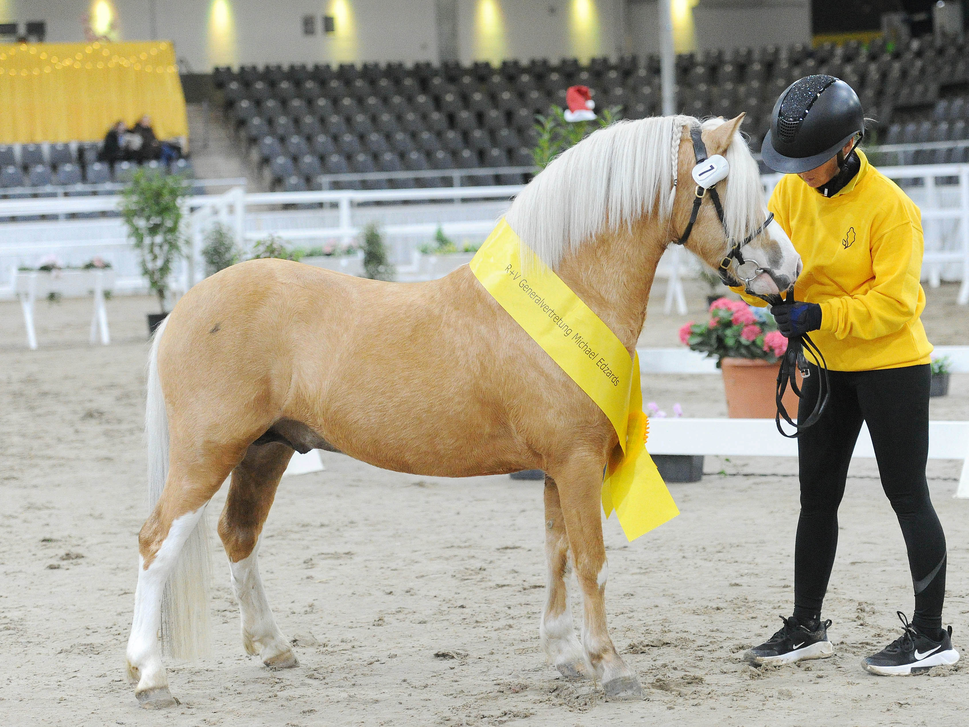 Broekland Velvet Vingino v. Synod Gold FlakeCrumpwell Shamson2