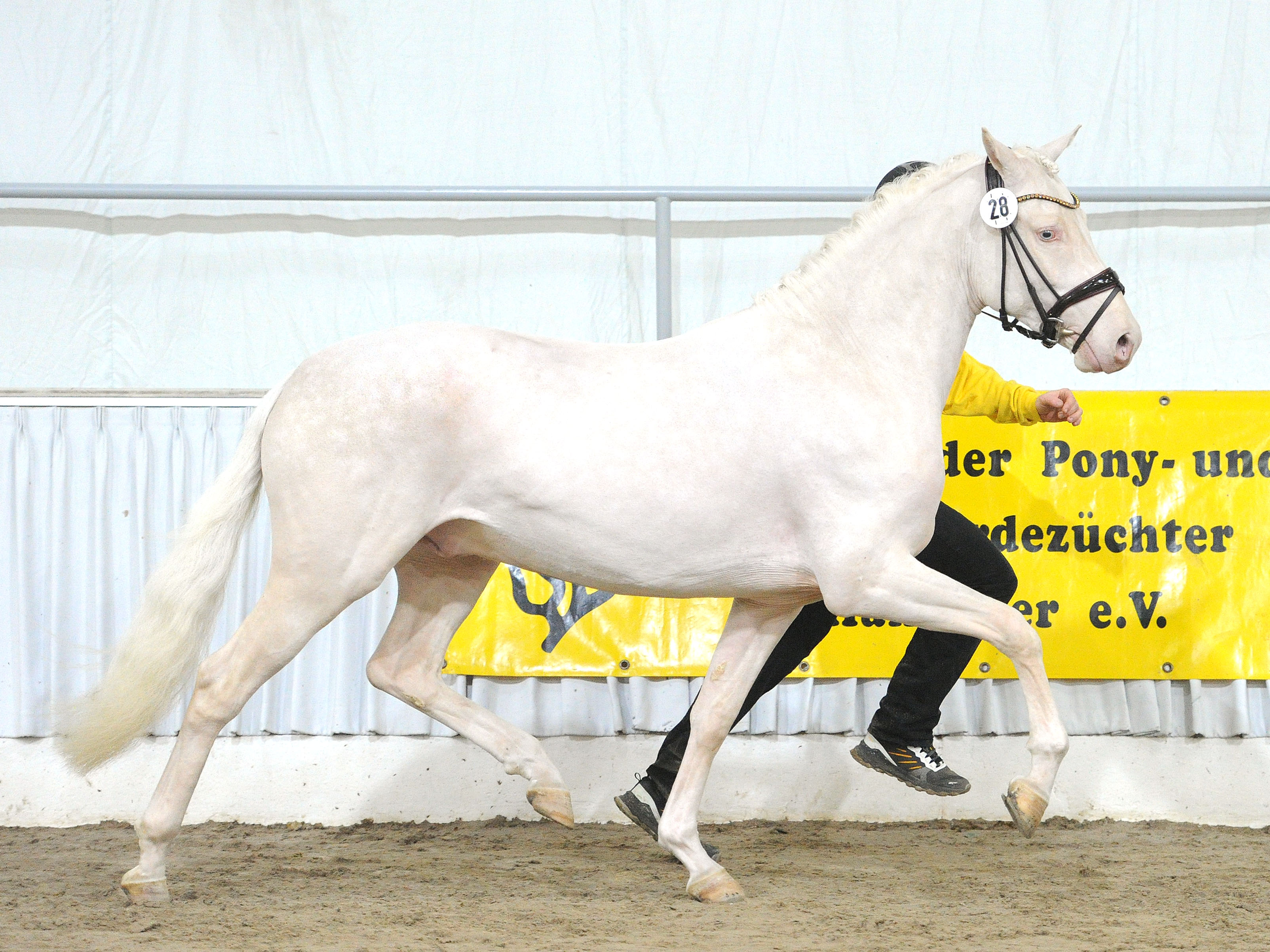 Diamond Date v. Dating AT NRWDiamond Touch NRW