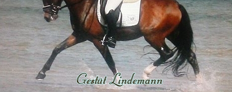 Gestüt Lindemann